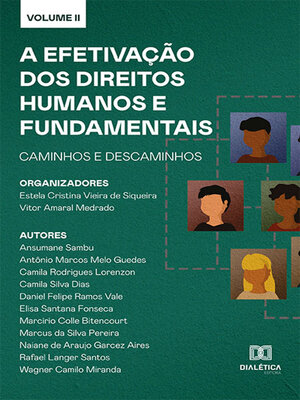 cover image of A efetivação dos Direitos Humanos e Fundamentais, Volume 2